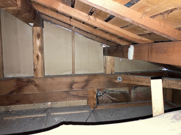 雨漏りの確認のために小屋裏をみています