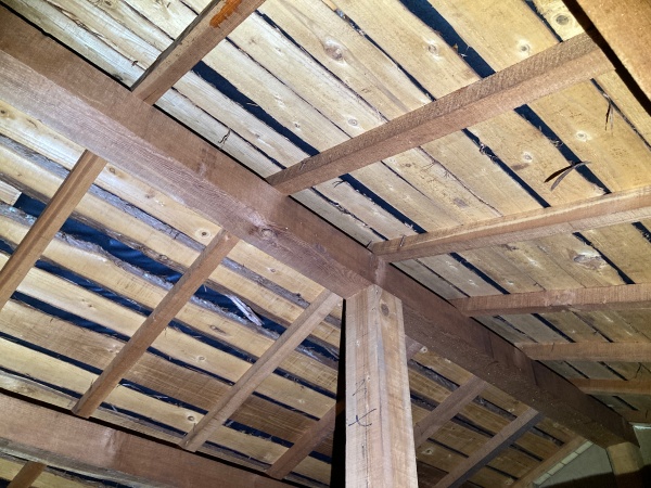 雨漏りの確認のために小屋裏をみています