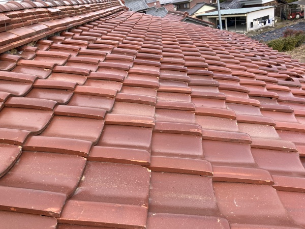 屋根全体の確認をしています