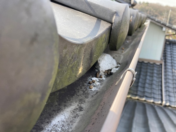 家の健康診断　雨樋の詰まり