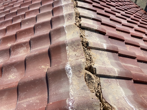 棟の解体後の状態です