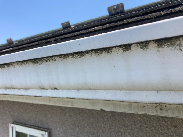 雨樋の退色と汚れの付着の状態