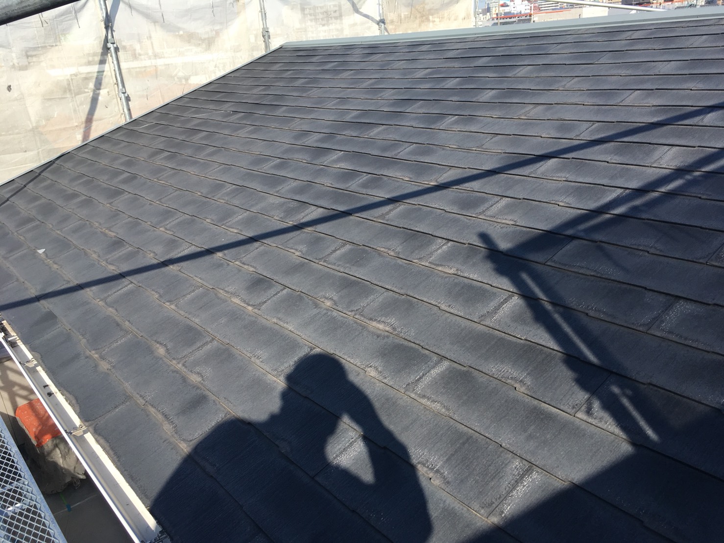 パミール屋根の表面状態と全体の傷み具合を確認