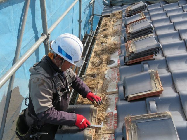 スズメの巣撤去