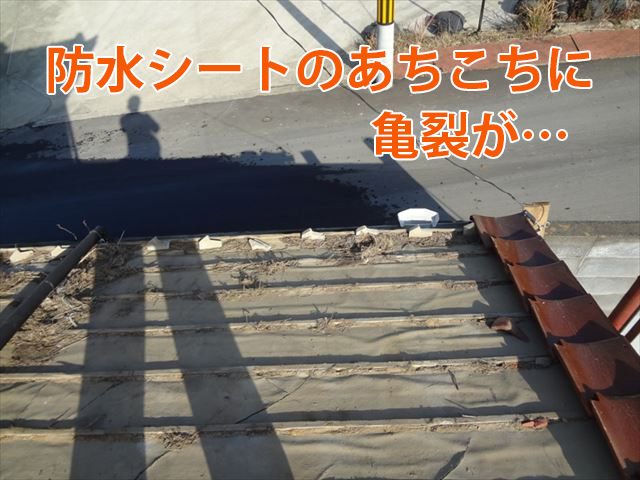 防水シートに目立つ亀裂