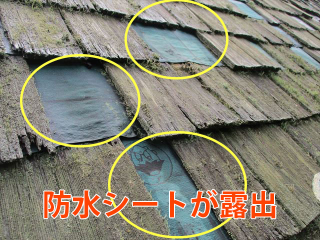 防水シート露出