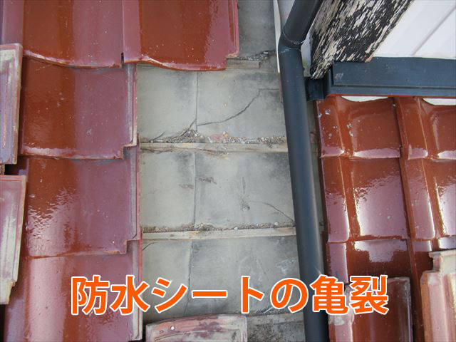防水シートの亀裂