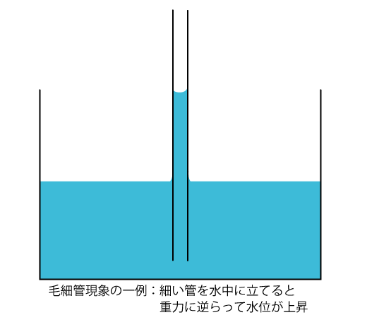 毛細管現象