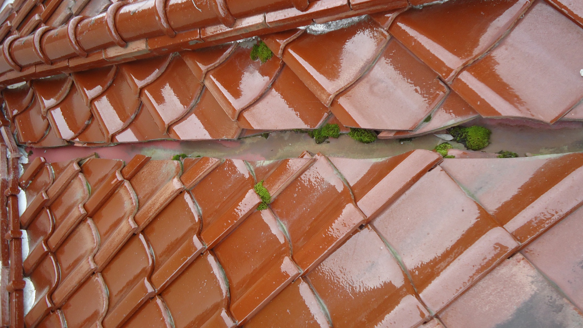 陶器瓦　ずれ　20180905