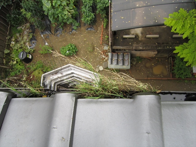 雨樋清掃前