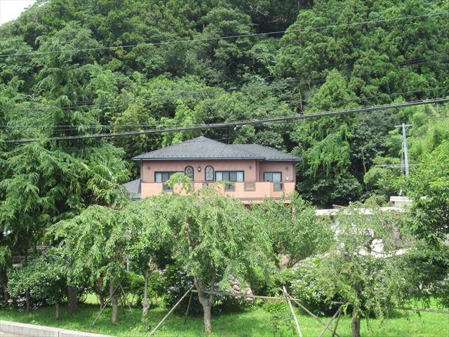 裏山が竹林