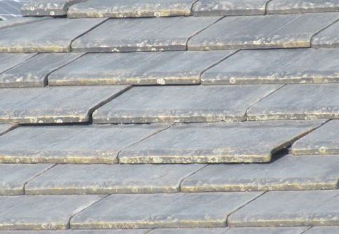 浮いた瓦のズーム