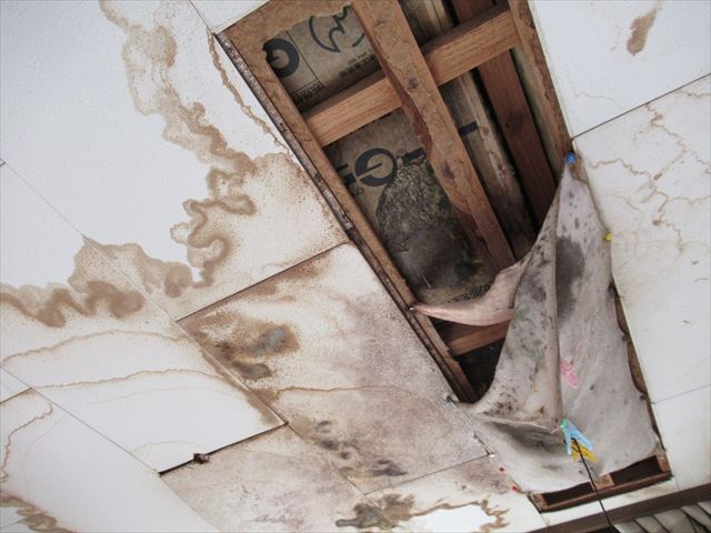 雨漏りで2階天井クロス剥がれ