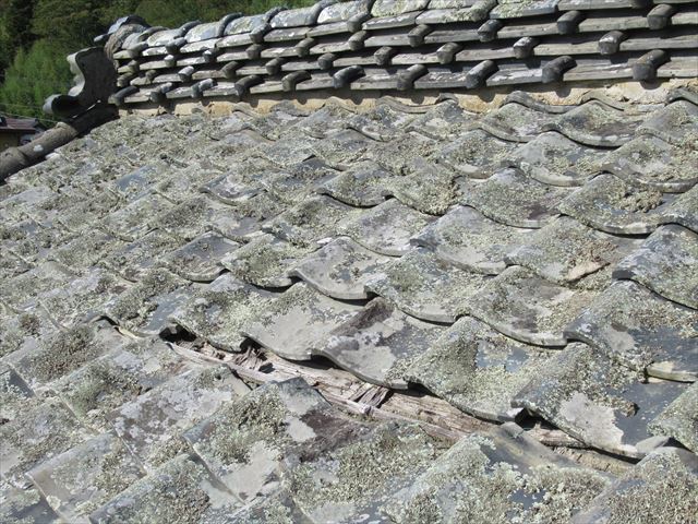 平部の土瓦のズレ