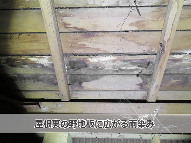 屋根裏に広がる雨染み