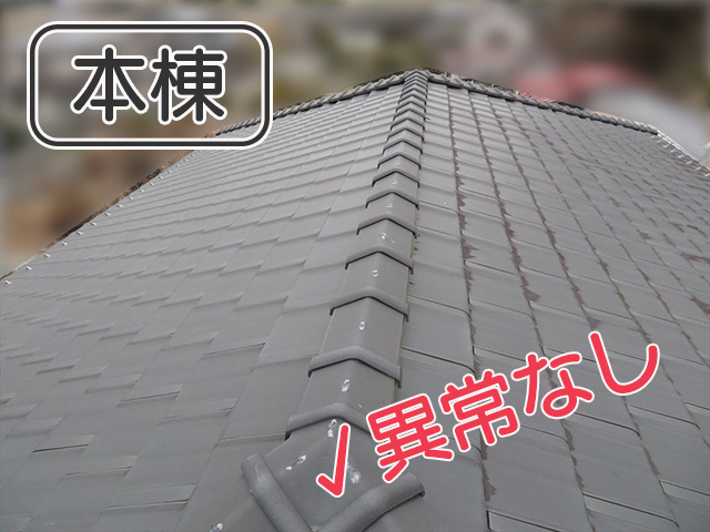 きれいな状態の本棟