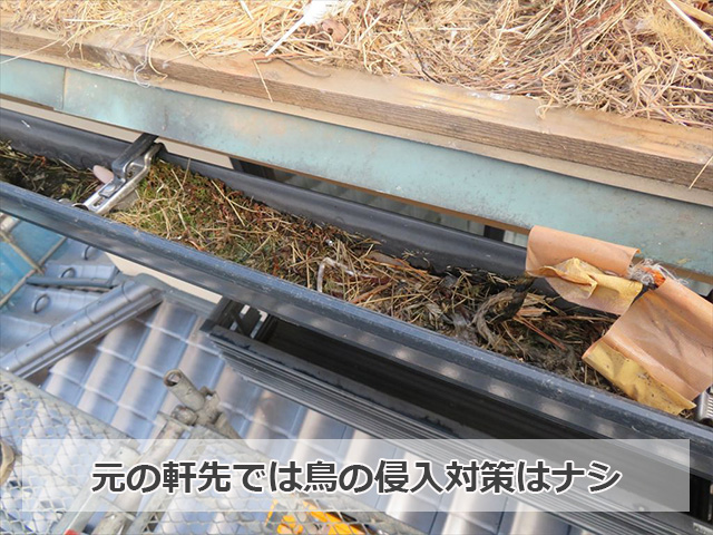 元の軒先では鳥の侵入対策は0