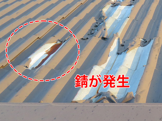 塩ビコーティングが剥がれ、錆びが発生した屋根