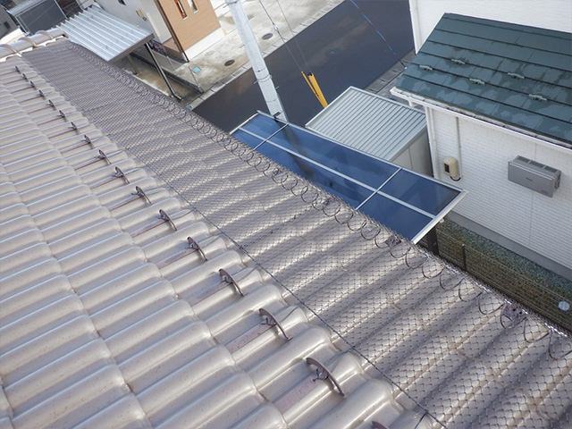 スーパーゆきもちくん設置完了