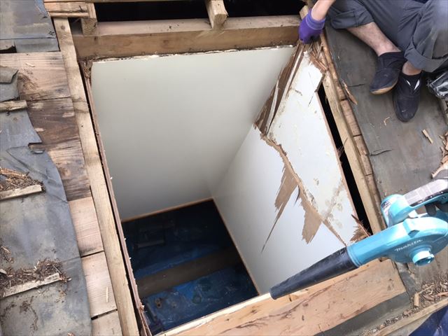 ブロワーでゴミを掃除