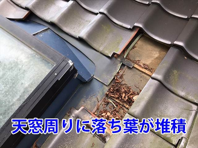 天窓周りに溜まったゴミ