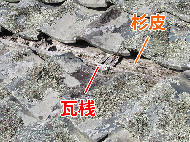 ズレた瓦の下から覗く杉皮
