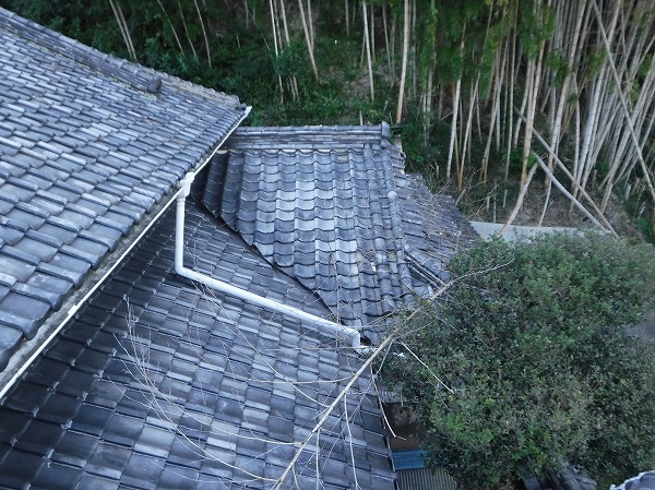 竹林から竹が倒れた屋根