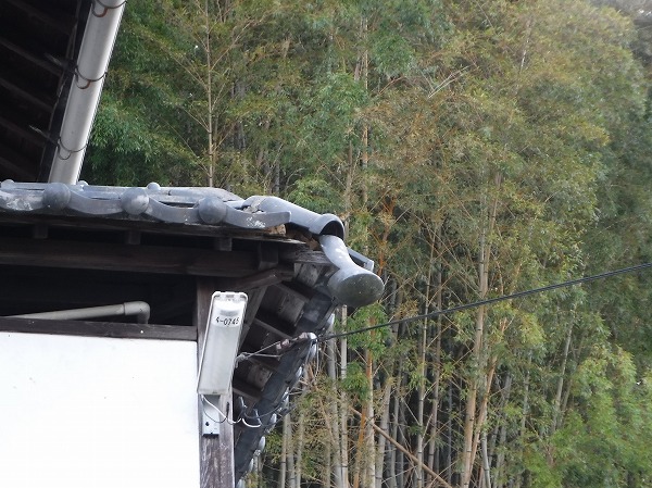 塀瓦隅巴落ちそう