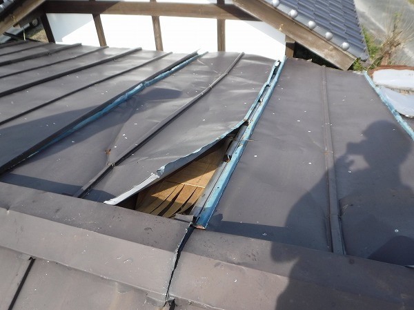 台風にてトタンめくり上がり