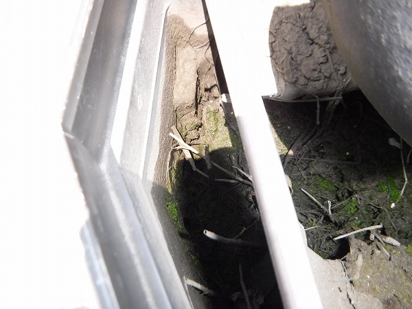 呉市樋掃除屋根修繕