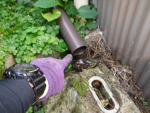 呉市樋掃除屋根修繕