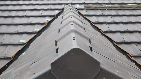 ドーマー部完成