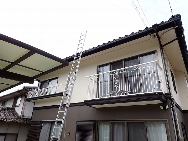 はしご架けによる安全な調査体制