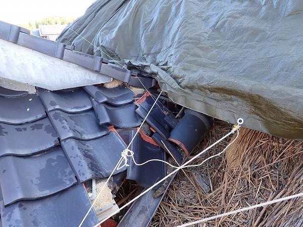 呉市　茅葺屋根　現地調査　シートの際