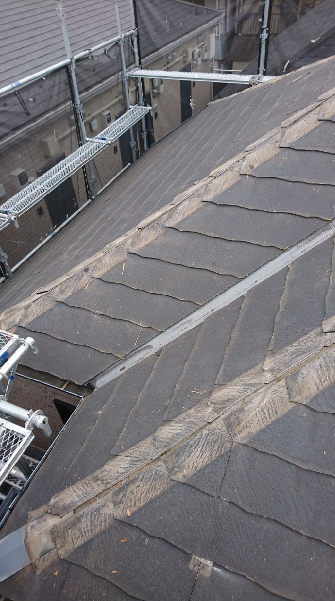 コロニアルの色あせ