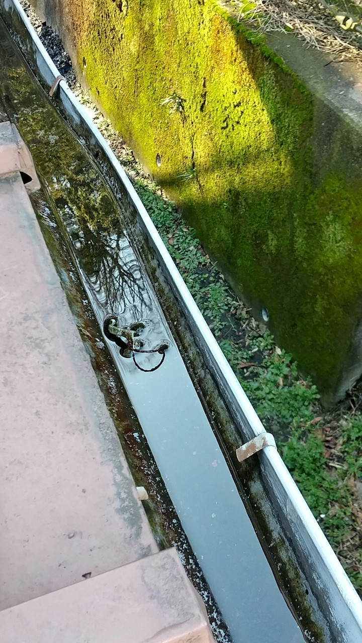ゴミが溜まった雨樋、雨水が溜まって流れない雨樋
