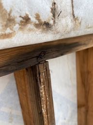 腐りかけの木部