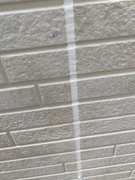 シール新設後の壁