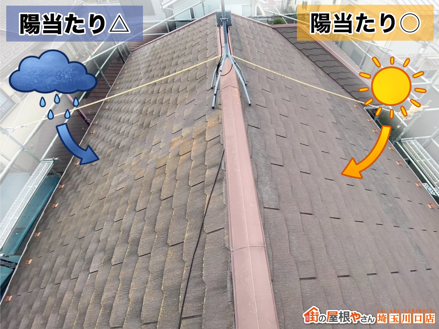 陽当たり△→ 陽当たり○←