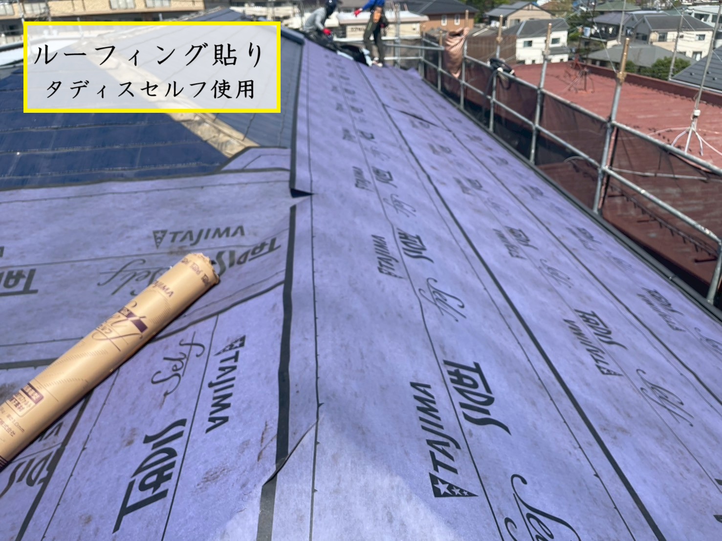 タディスセルフ