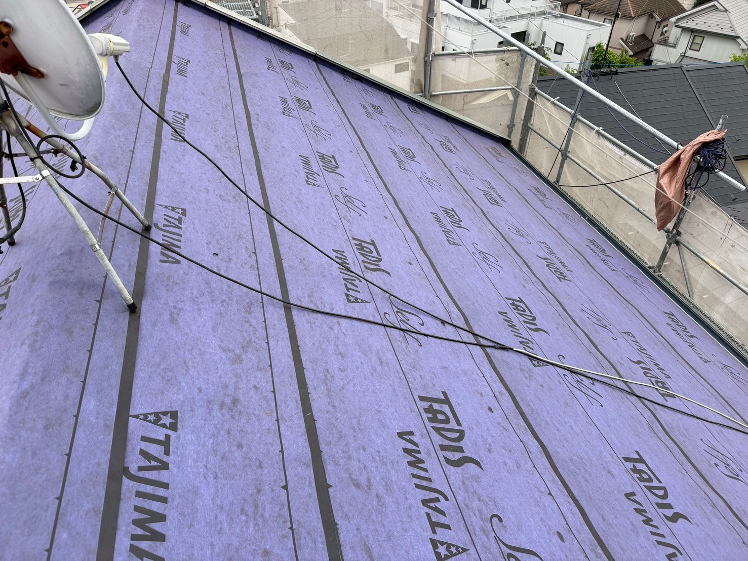 タディスセルフ