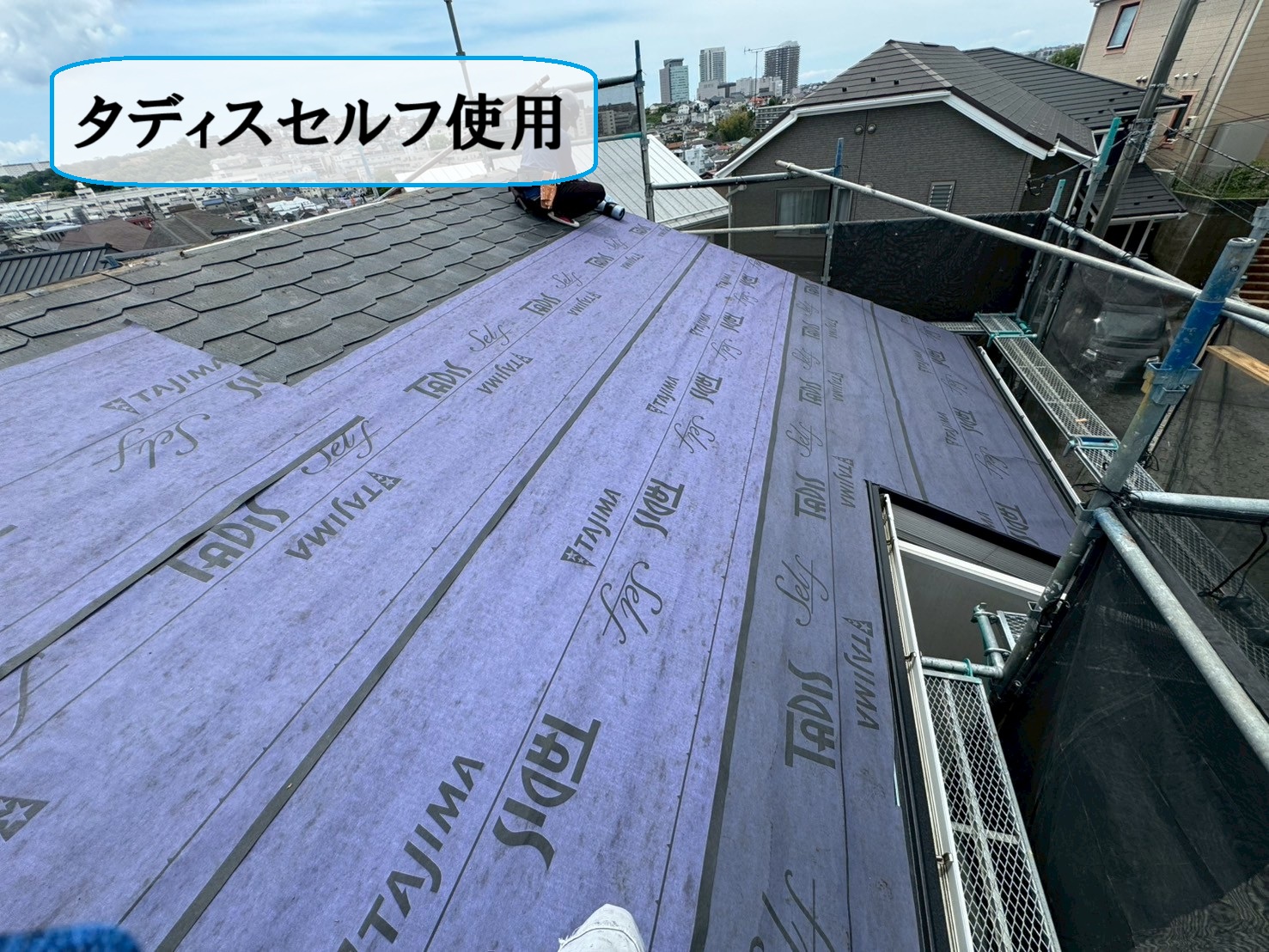 タディスセルフ