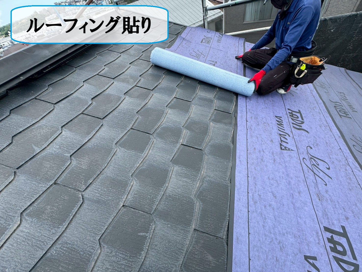 タディスセルフ