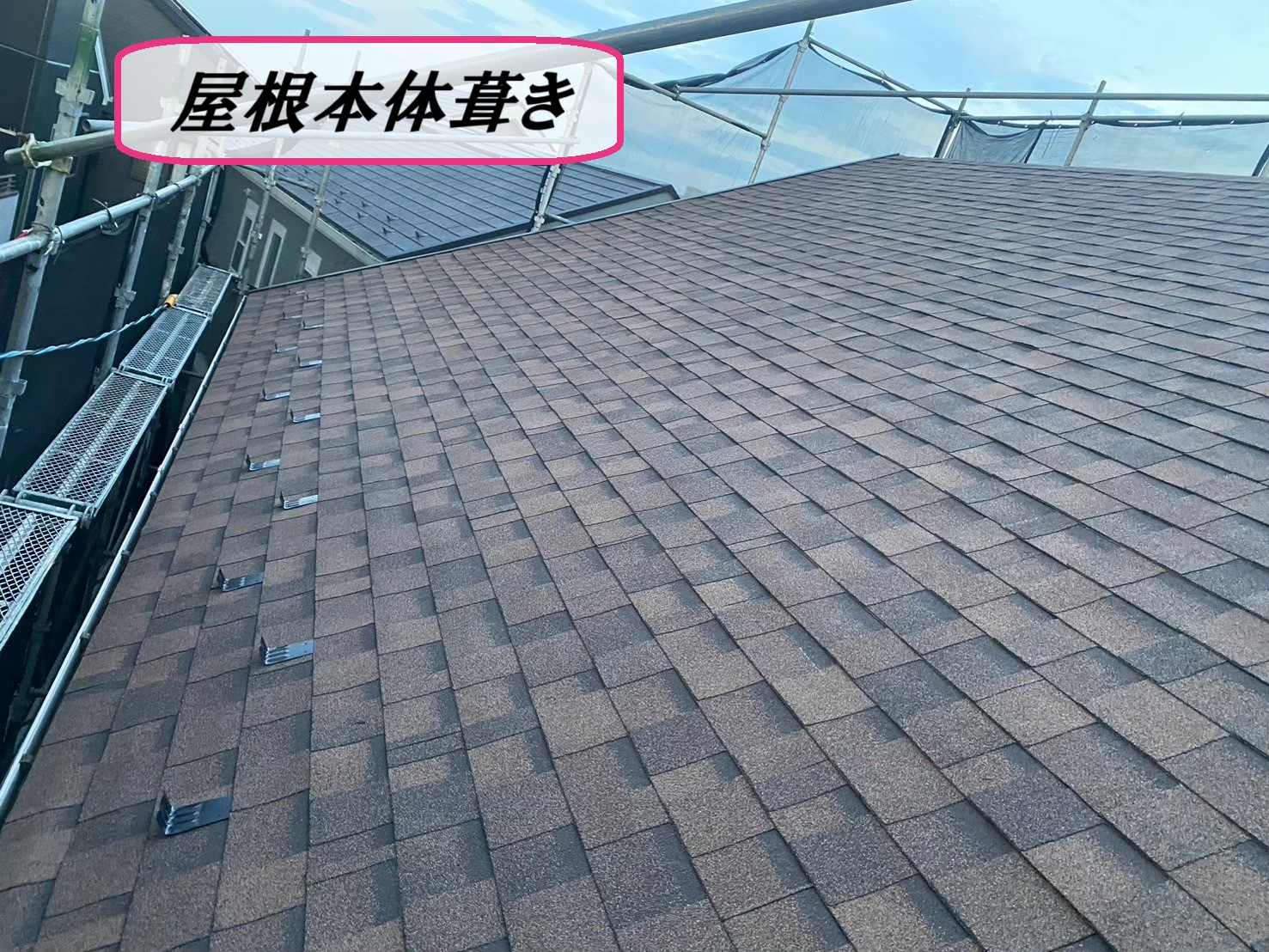 屋根本体葺き