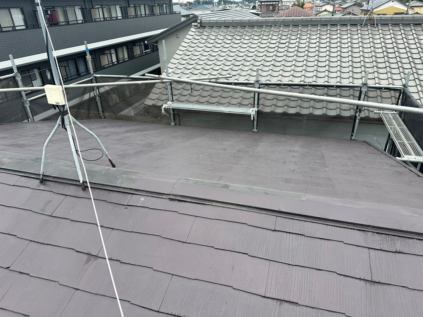 既存屋根