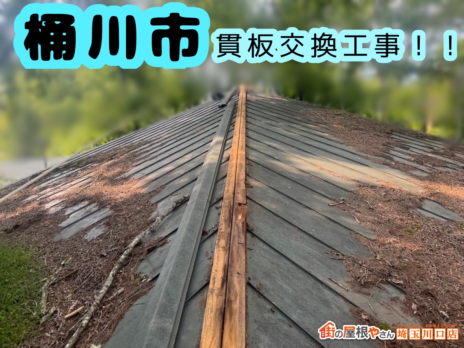 桶川　貫板交換工事