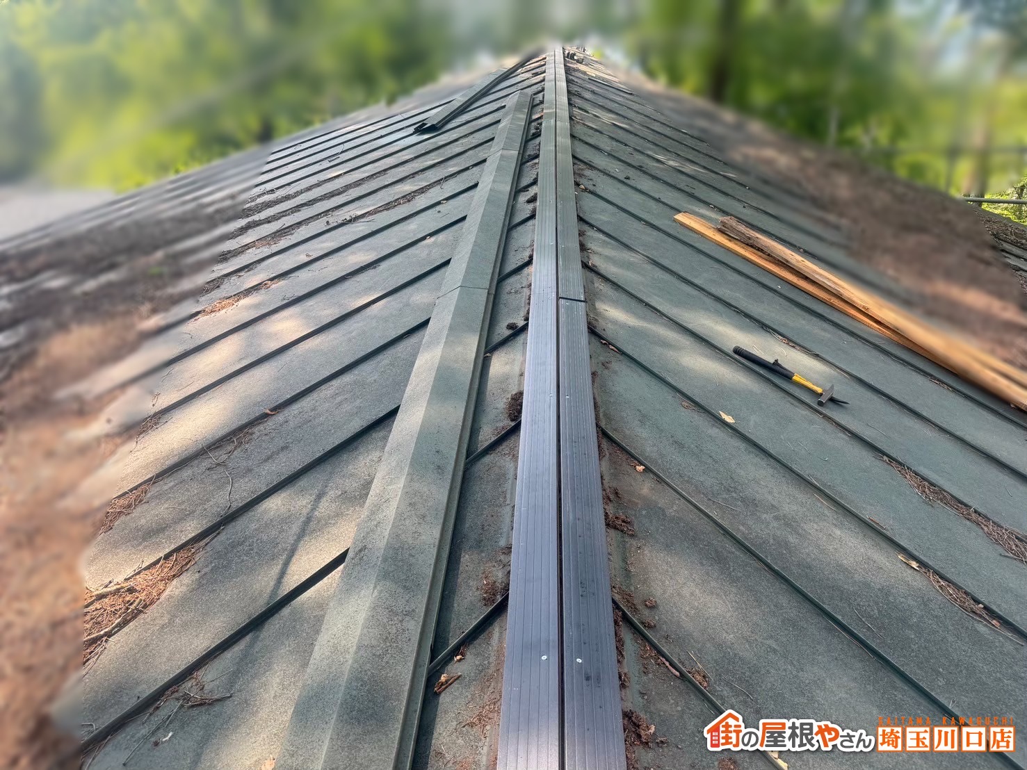 桶川　屋根