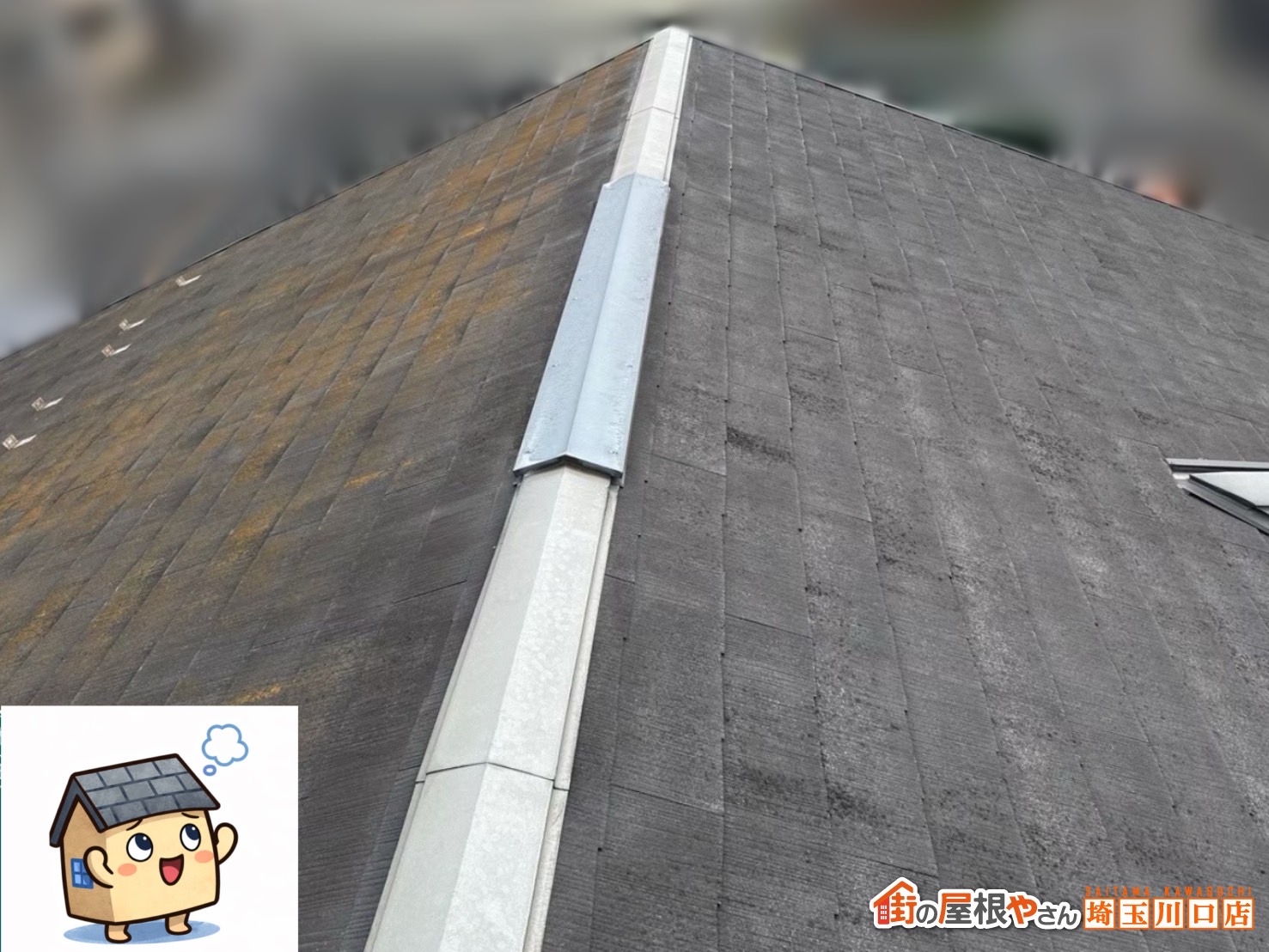 川口市　屋根カバー工事