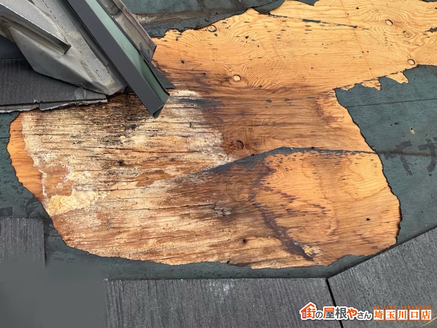 川口市　屋根カバー工事