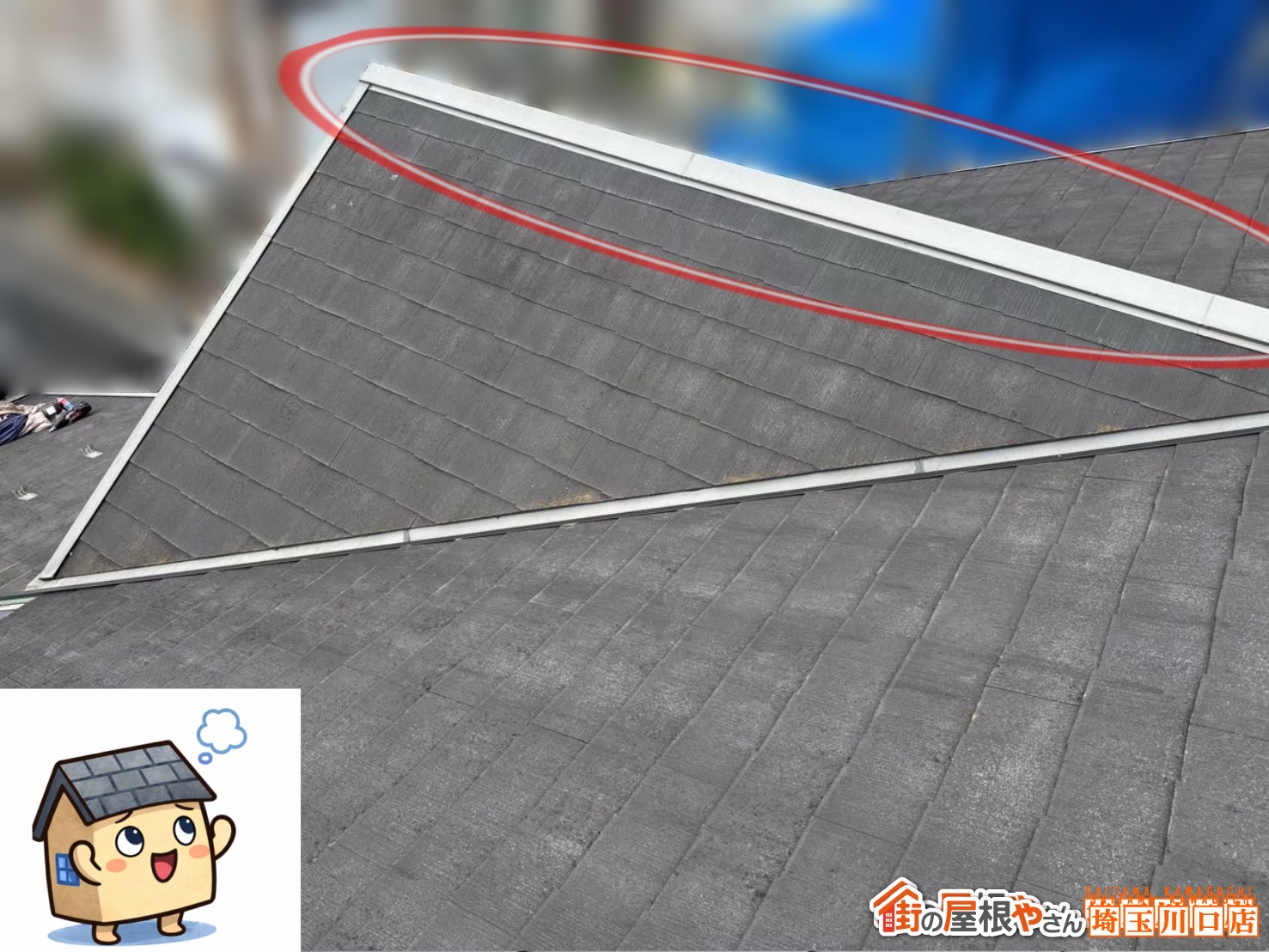 川口市　屋根カバー工事